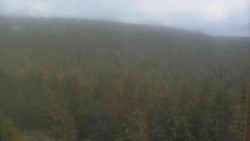 Vysoké hole