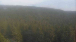 Vysoké hole