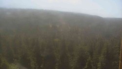 Vysoké hole