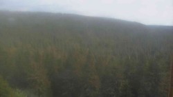 Vysoké hole
