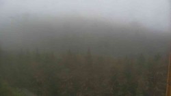 Vysoké hole