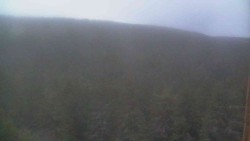 Vysoké hole