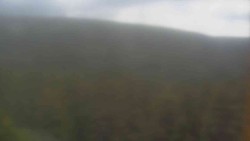 Hohe Stangen
