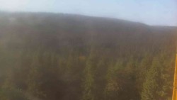 Hohe Stangen