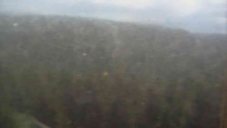Hohe Stangen