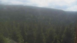 Hohe Stangen
