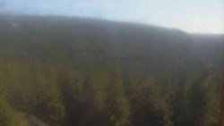 Hohe Stangen