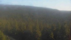 Hohe Stangen