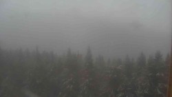 Hohe Stangen