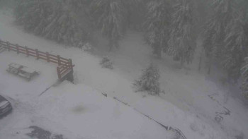 Snímek    28.10.2025 v 09:40