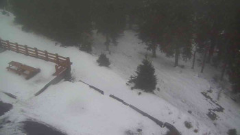 Snímek    29.10.2025 v 06:25