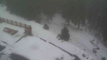 Snímek    29.10.2025 v 06:35