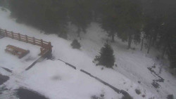 Přístup na běžeckou trať