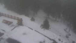 Přístup na běžeckou trať