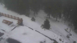 Přístup na běžeckou trať