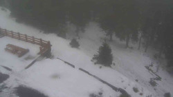 Přístup na běžeckou trať