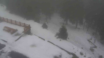 Snímek    29.10.2025 v 09:30