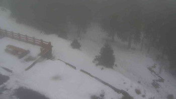 Snímek    29.10.2025 v 09:45