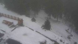 Přístup na běžeckou trať