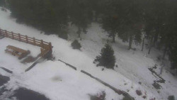 Přístup na běžeckou trať