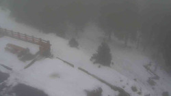 Přístup na běžeckou trať