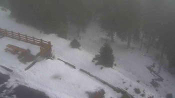 Snímek    29.10.2025 v 13:40