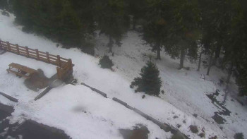 Snímek    29.10.2025 v 15:55