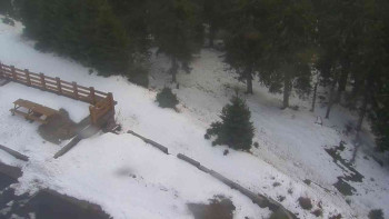 Snímek    29.10.2025 v 16:00