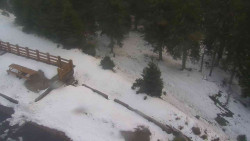 Přístup na běžeckou trať