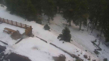 Snímek    29.10.2025 v 16:05