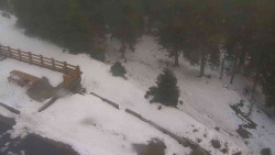 Přístup na běžeckou trať