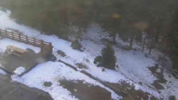 Přístup na běžeckou trať