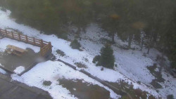 Přístup na běžeckou trať