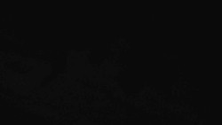 Přístup na běžeckou trať