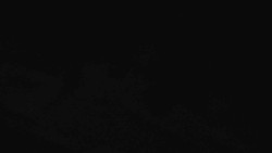 Přístup na běžeckou trať