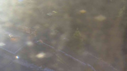 Přístup na běžeckou trať