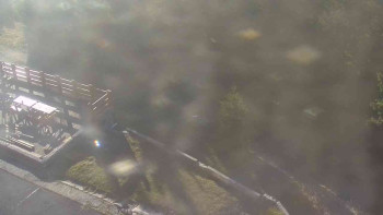 Snímek 6.11.2025 v 08:35