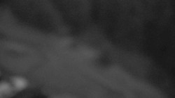 Přístup na běžeckou trať