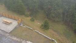 Přístup na běžeckou trať