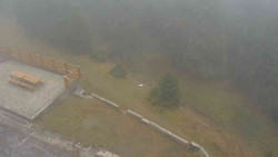 Přístup na běžeckou trať