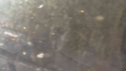 Přístup na běžeckou trať