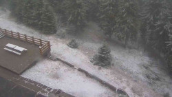 Přístup na běžeckou trať