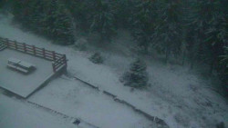 Přístup na běžeckou trať