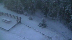 Přístup na běžeckou trať