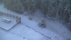 Přístup na běžeckou trať