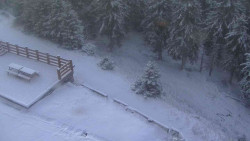 Přístup na běžeckou trať