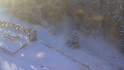 Přístup na běžeckou trať