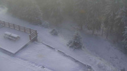 Přístup na běžeckou trať