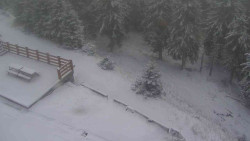 Přístup na běžeckou trať