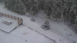 Přístup na běžeckou trať